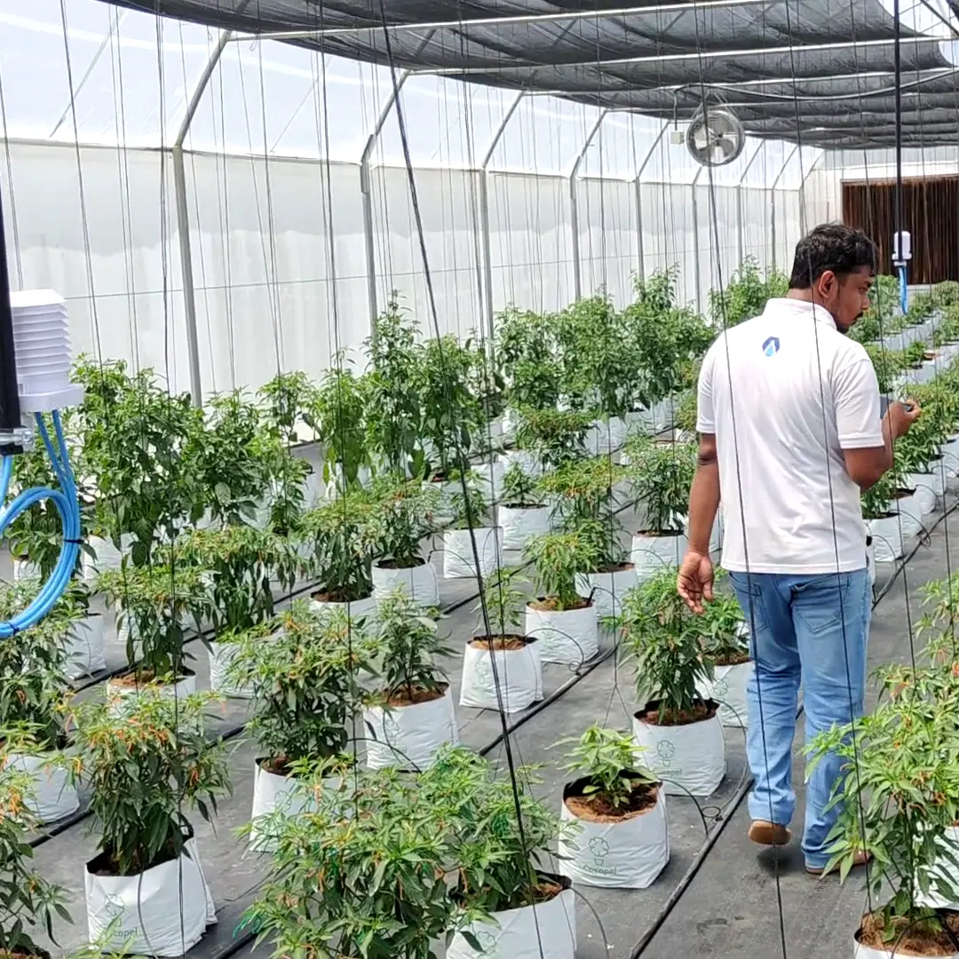 Govi AI Data-driven Farming